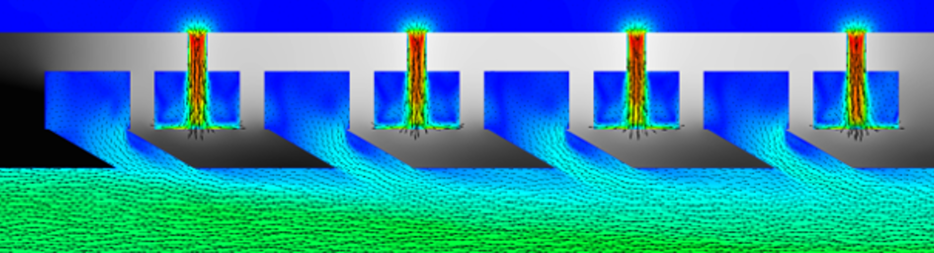 Transpiration Graphic