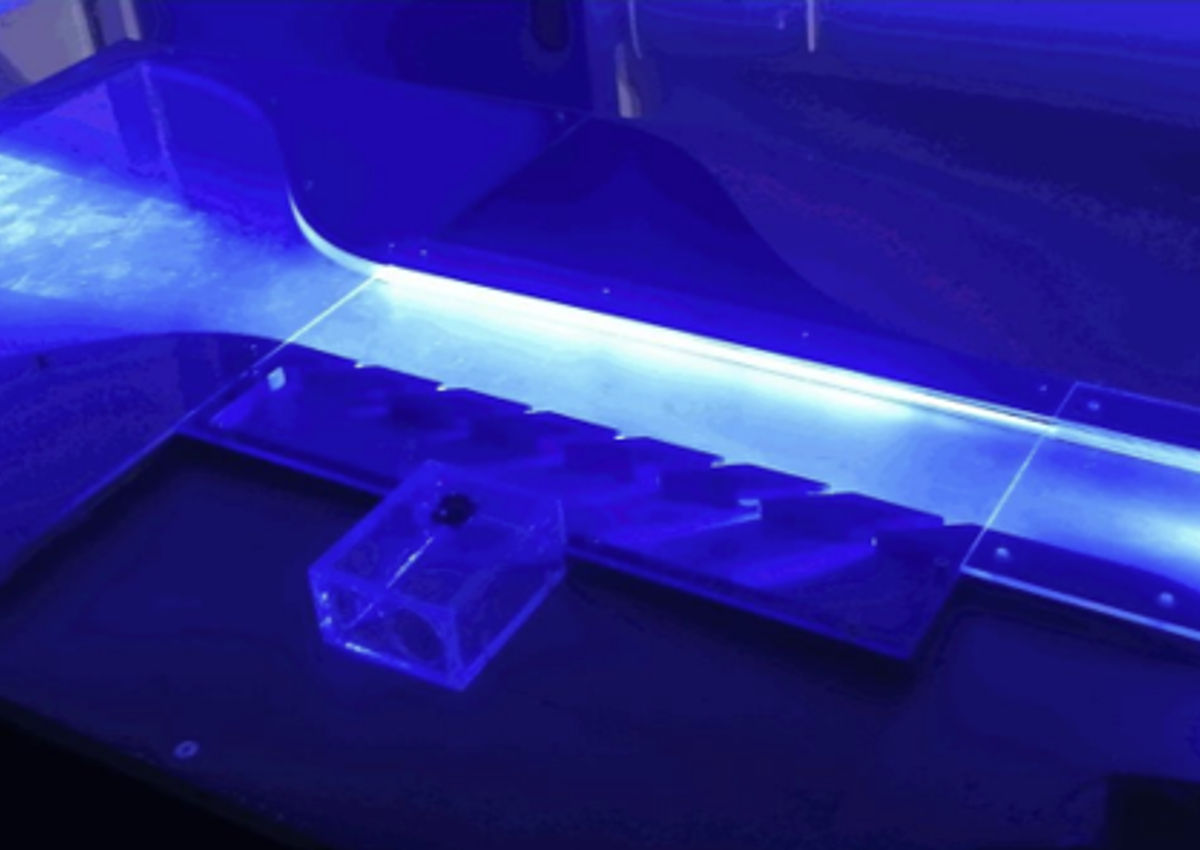 Transpiration Tunnel