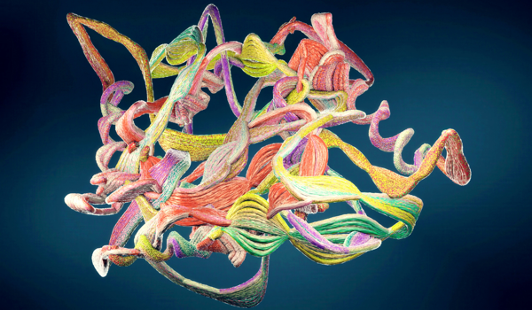 Oxford research advances scalable approaches to cell and tissue engineering 