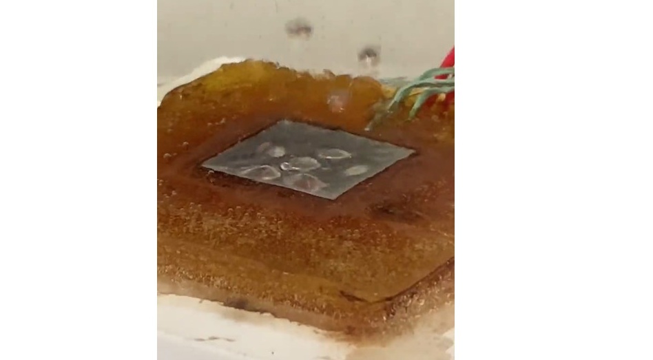 Fundamental Flow and Heat Transfer Physics