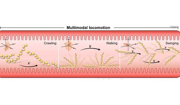 Oxford Engineers Contribute to Breakthrough in Soft Microrobots for Targeted Drug Delivery