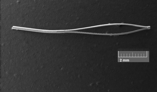 Oxford University researchers develop uniquely shaped microstent to combat glaucoma