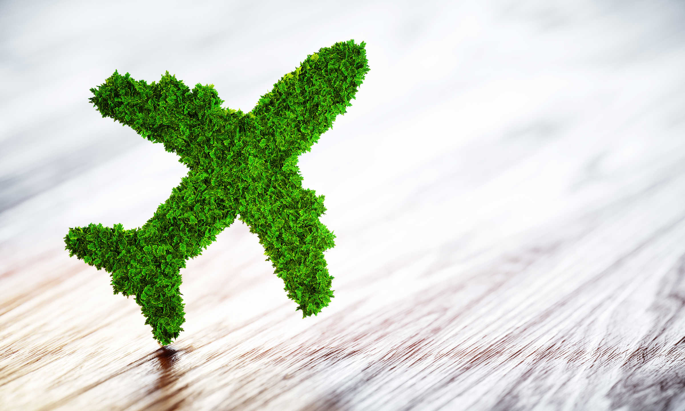 3D Illustration, 'green' aircraft